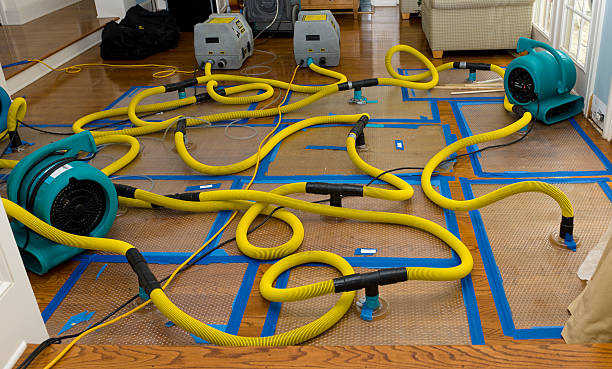 Professional Crawl Space Water Removal technician working in Cleveland, MS
